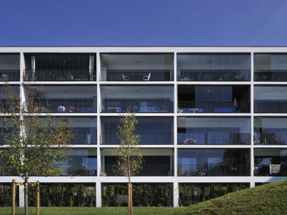 Teresa Housing